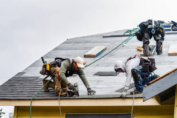 Professional Emergency Roof Repair technician working in Dunnellon, FL